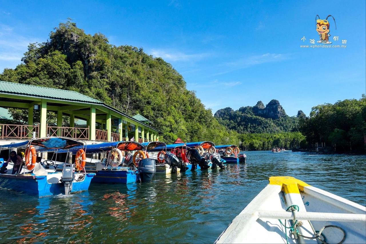 Jelajahi Mangrove Langkawi: Surga Tersembunyi yang Menakjubkan